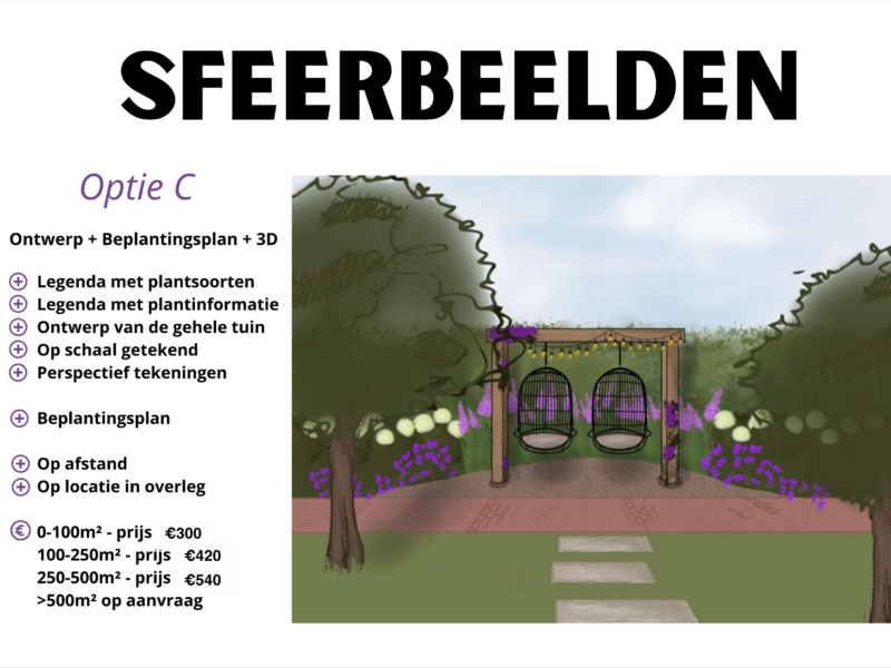 Scherm­afbeelding 2024-10-23 om 12.08.52